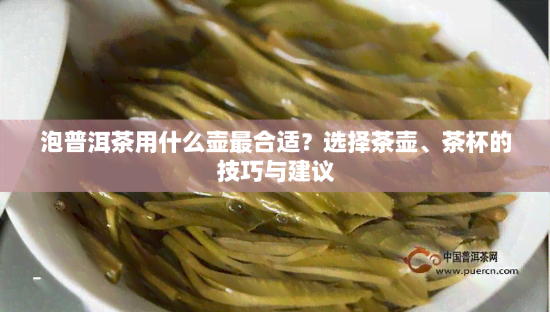 泡普洱茶用什么壶最合适？选择茶壶、茶杯的技巧与建议