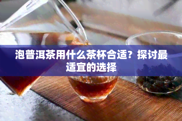 泡普洱茶用什么茶杯合适？探讨最适宜的选择