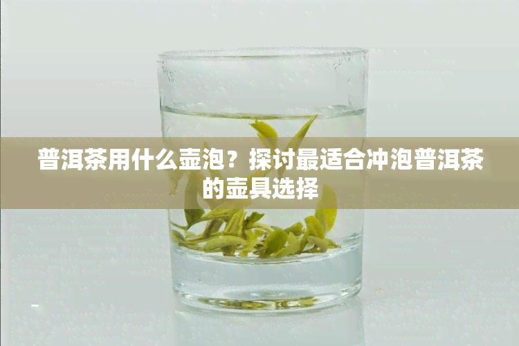 普洱茶用什么壶泡？探讨最适合冲泡普洱茶的壶具选择