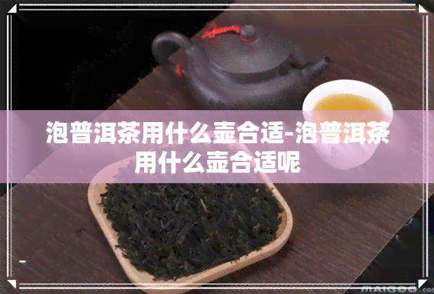 泡普洱茶用什么壶合适-泡普洱茶用什么壶合适呢