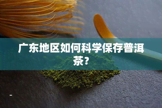 广东地区如何科学保存普洱茶？