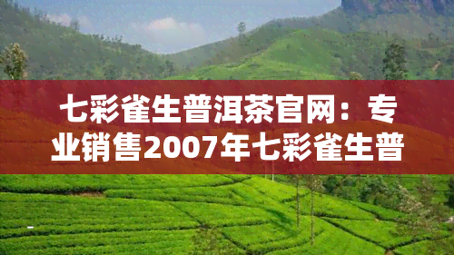 七彩雀生普洱茶官网：专业销售2007年七彩雀生普洱、生普洱茶、熟茶等云南特产，欢迎选购！