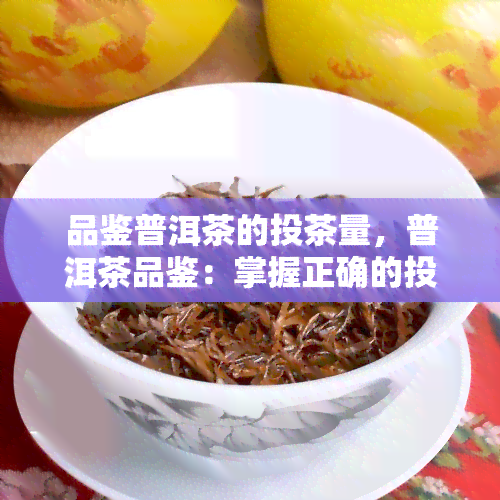 品鉴普洱茶的投茶量，普洱茶品鉴：掌握正确的投茶量