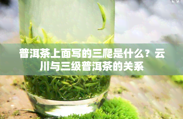 普洱茶上面写的三爬是什么？云川与三级普洱茶的关系