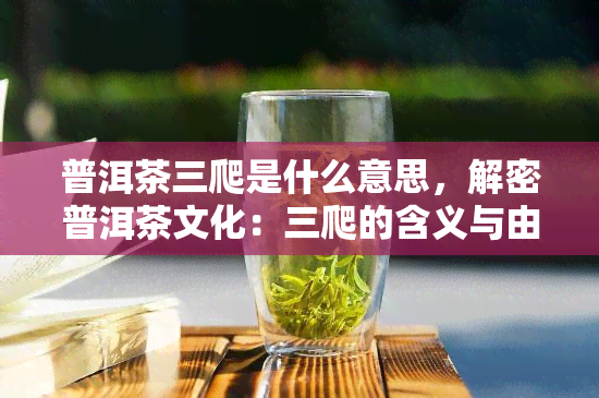 普洱茶三爬是什么意思，解密普洱茶文化：三爬的含义与由来