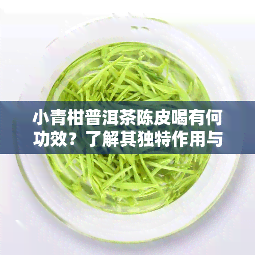 小青柑普洱茶陈皮喝有何功效？了解其独特作用与比较