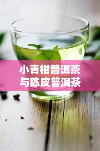 小青柑普洱茶与陈皮普洱茶有区别吗？详解功效、制作工艺及口感差异