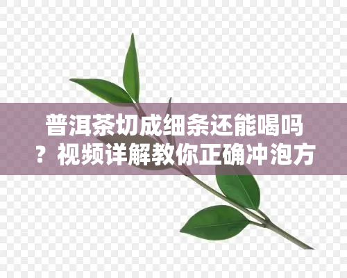 普洱茶切成细条还能喝吗？视频详解教你正确冲泡方法