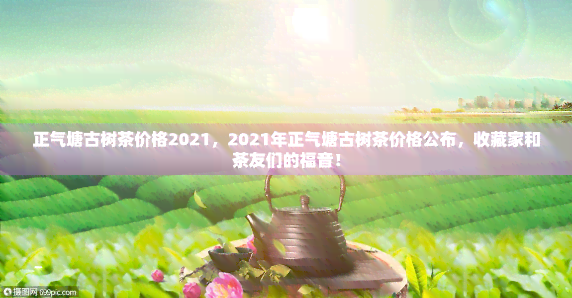 正气塘古树茶价格2021，2021年正气塘古树茶价格公布，收藏家和茶友们的福音！