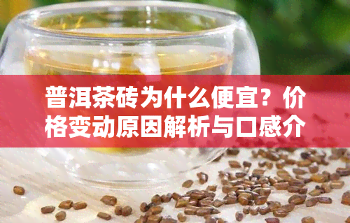 普洱茶砖为什么便宜？价格变动原因解析与口感介绍