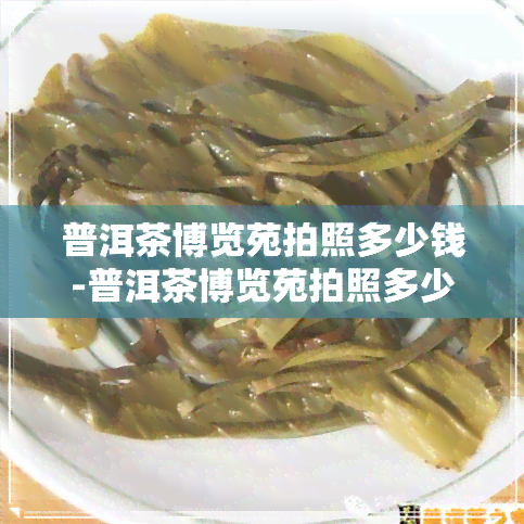 普洱茶博览苑拍照多少钱-普洱茶博览苑拍照多少钱一张