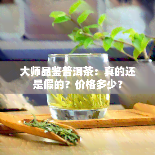 大师品鉴普洱茶：真的还是假的？价格多少？