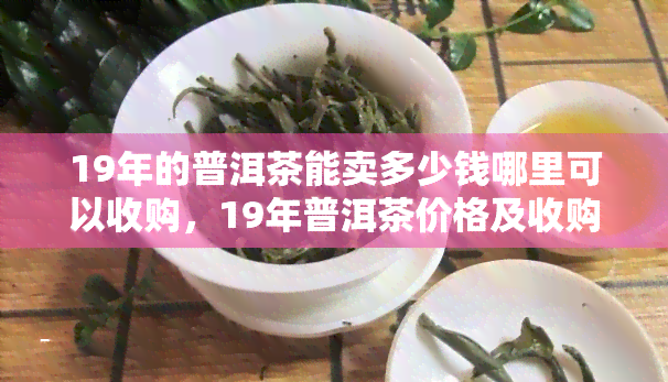 19年的普洱茶能卖多少钱哪里可以收购，19年普洱茶价格及收购信息查询