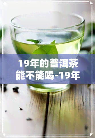 19年的普洱茶能不能喝-19年的普洱茶能不能喝了