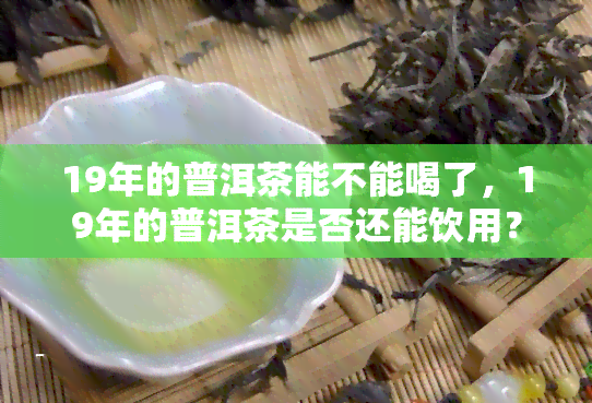 19年的普洱茶能不能喝了，19年的普洱茶是否还能饮用？专家解读