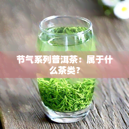 节气系列普洱茶：属于什么茶类？