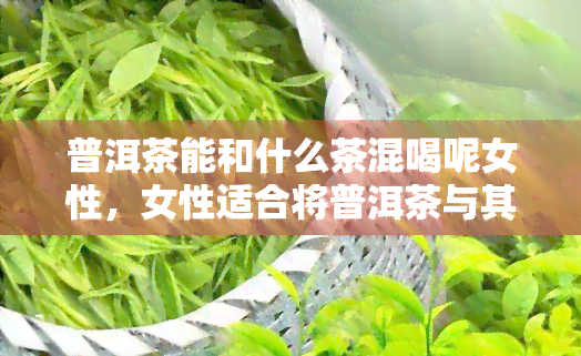 普洱茶能和什么茶混喝呢女性，女性适合将普洱茶与其他哪些茶叶混饮？