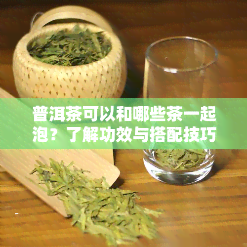 普洱茶可以和哪些茶一起泡？了解功效与搭配技巧