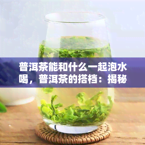 普洱茶能和什么一起泡水喝，普洱茶的搭档：揭秘可以一起泡水喝的神秘配料