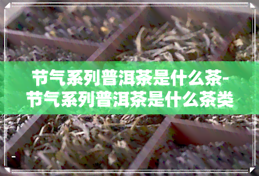 节气系列普洱茶是什么茶-节气系列普洱茶是什么茶类