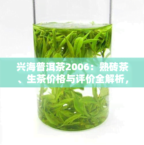 兴海普洱茶2006：熟砖茶、生茶价格与评价全解析，官方旗舰店及权威报价网站推荐