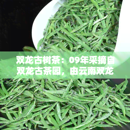 双龙古树茶：09年采摘自双龙古茶园，由云南双龙古茶园茶厂精心制作。公司产品包括云南双龙古茶园系列茶叶。欢迎品尝！