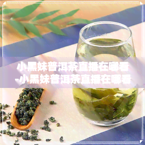 小黑妹普洱茶直播在哪看-小黑妹普洱茶直播在哪看啊