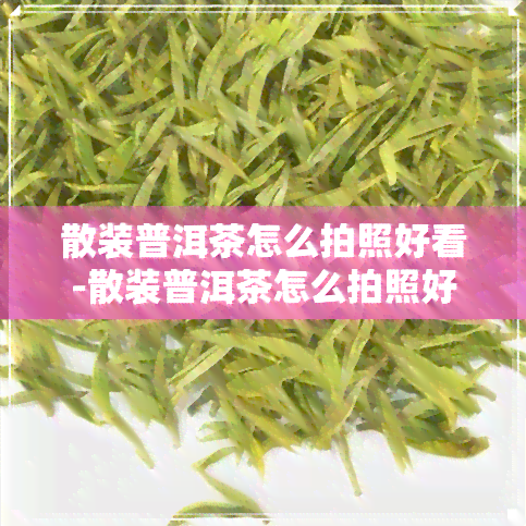 散装普洱茶怎么拍照好看-散装普洱茶怎么拍照好看图片