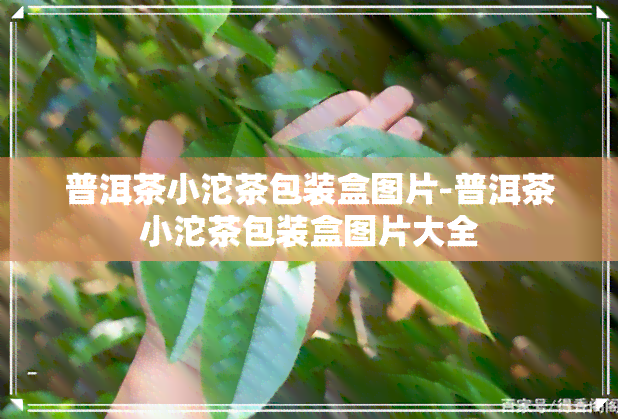 普洱茶小沱茶包装盒图片-普洱茶小沱茶包装盒图片大全