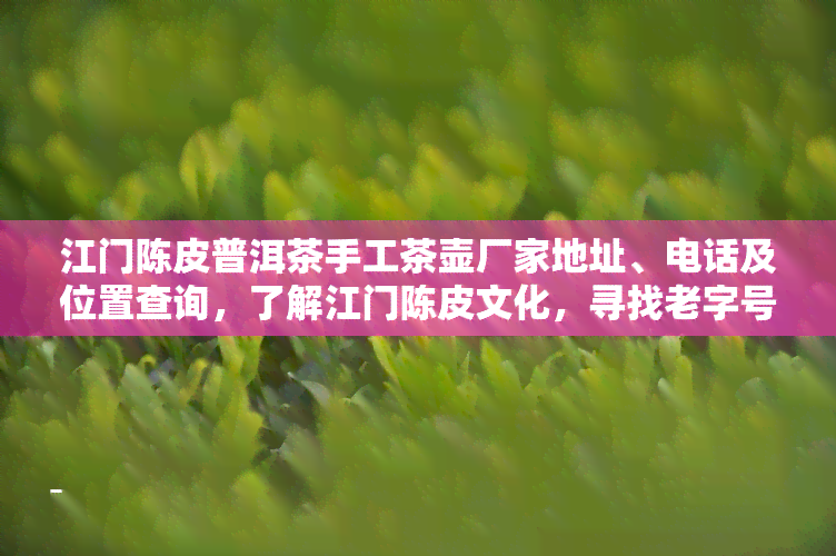 江门陈皮普洱茶手工茶壶厂家地址、电话及位置查询，了解江门陈皮文化，寻找老字号产品信息。