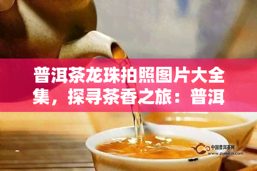 普洱茶龙珠拍照图片大全集，探寻茶香之旅：普洱茶龙珠拍照图片大全集