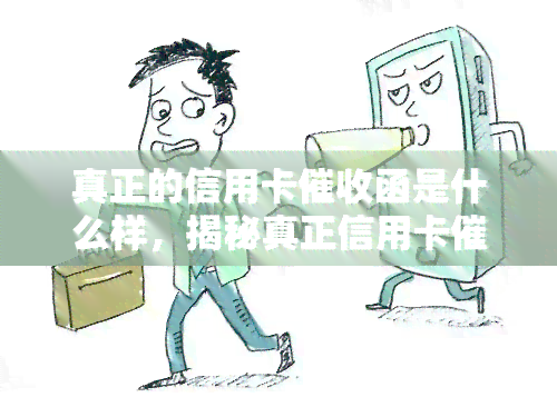 真正的信用卡函是什么样，揭秘真正信用卡函的样式与内容