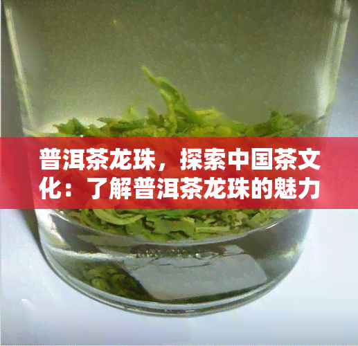 普洱茶龙珠，探索中国茶文化：了解普洱茶龙珠的魅力与制作过程