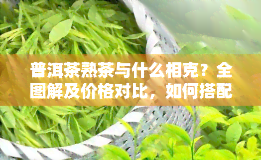 普洱茶熟茶与什么相克？全图解及价格对比，如何搭配不上火？