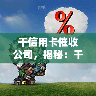 干信用卡公司，揭秘：干信用卡公司的日常工作与挑战