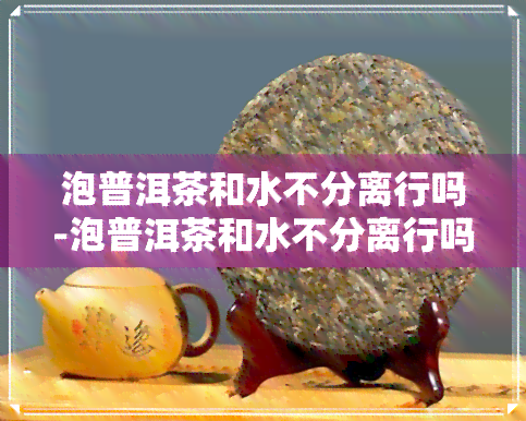 泡普洱茶和水不分离行吗-泡普洱茶和水不分离行吗