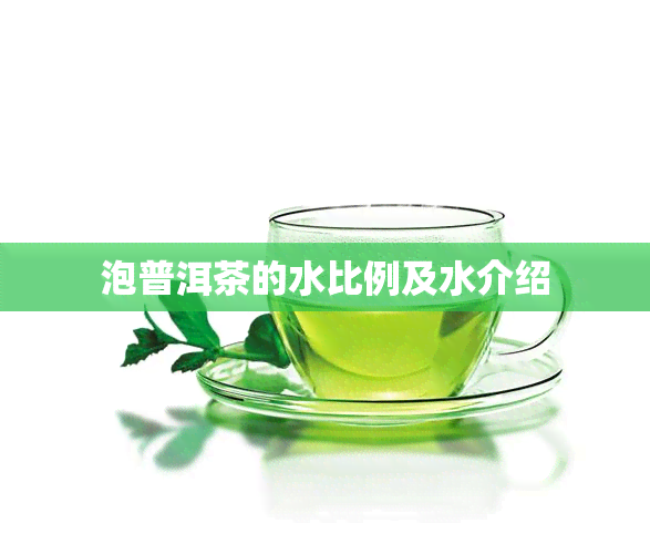 泡普洱茶的水比例及水介绍