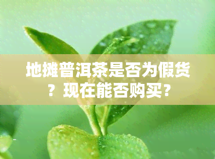 地摊普洱茶是否为假货？现在能否购买？