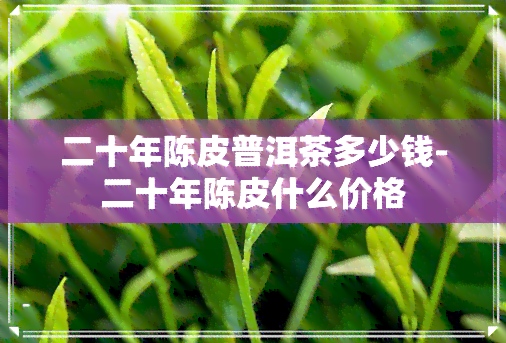 二十年陈皮普洱茶多少钱-二十年陈皮什么价格