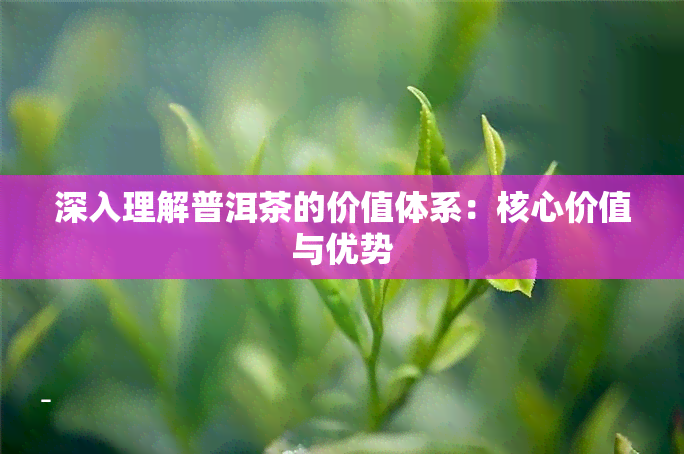 深入理解普洱茶的价值体系：核心价值与优势