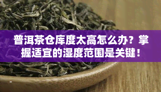 普洱茶仓库度太高怎么办？掌握适宜的湿度范围是关键！