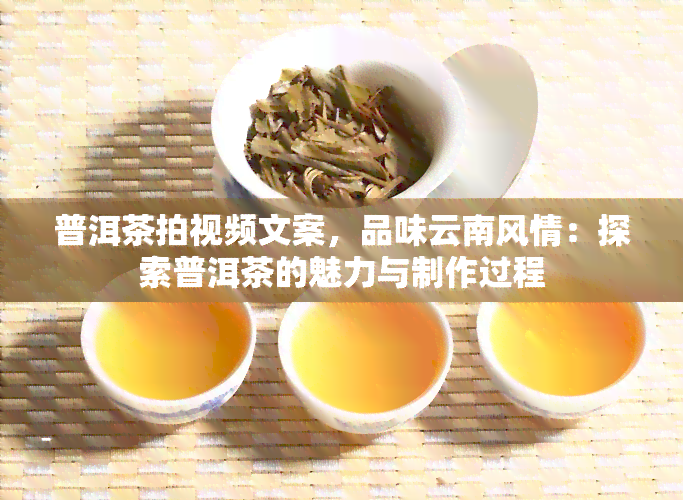 普洱茶拍视频文案，品味云南风情：探索普洱茶的魅力与制作过程