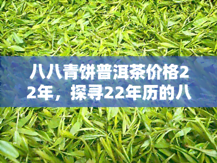 八八青饼普洱茶价格22年，探寻22年历的八八青饼普洱茶价格，了解其珍贵价值与收藏前景