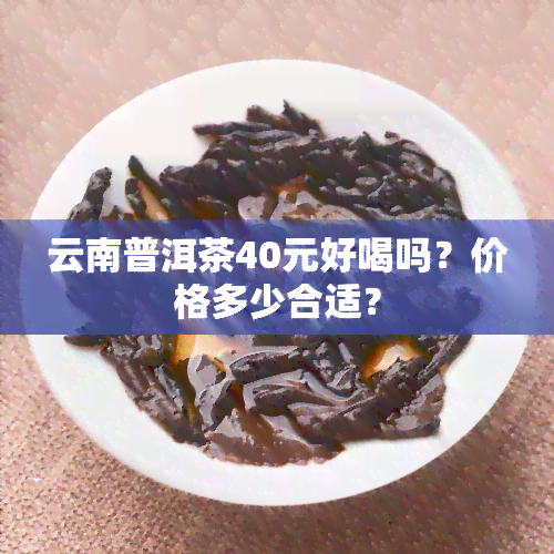 云南普洱茶40元好喝吗？价格多少合适？