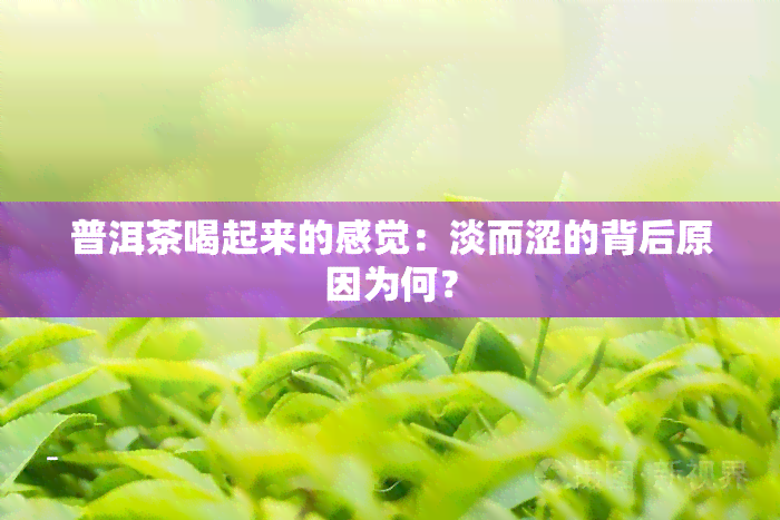 普洱茶喝起来的感觉：淡而涩的背后原因为何？