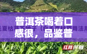 普洱茶喝着口感很，品鉴普洱茶：独特的口感润体验