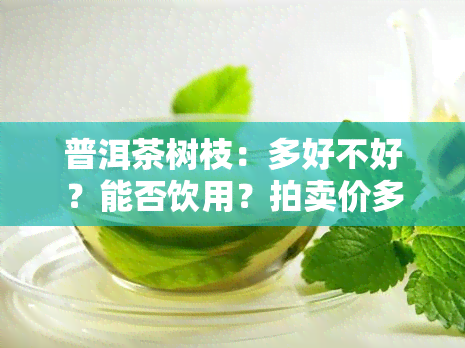 普洱茶树枝：多好不好？能否饮用？拍卖价多少？干上白点原因解析