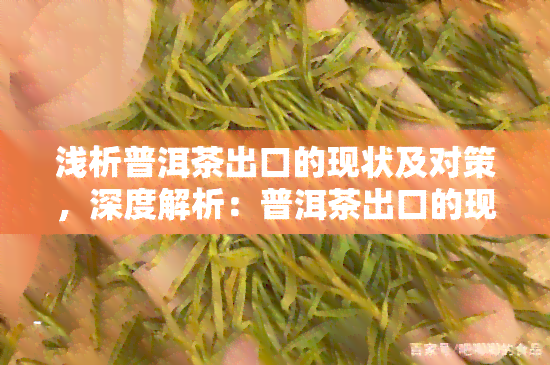 浅析普洱茶出口的现状及对策，深度解析：普洱茶出口的现状与应对策略