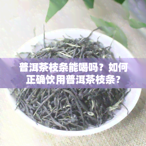 普洱茶枝条能喝吗？如何正确饮用普洱茶枝条？