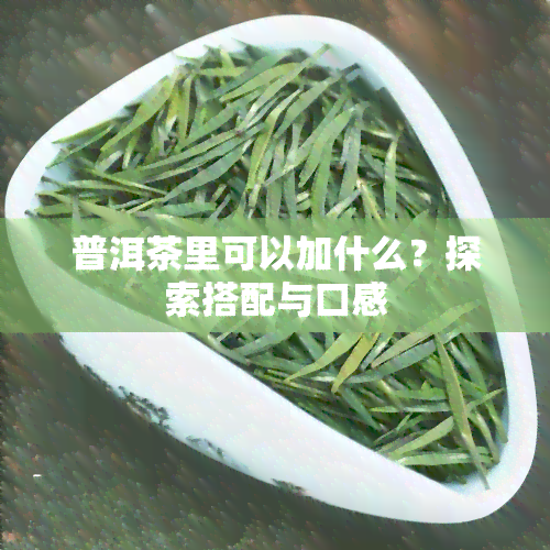 普洱茶里可以加什么？探索搭配与口感